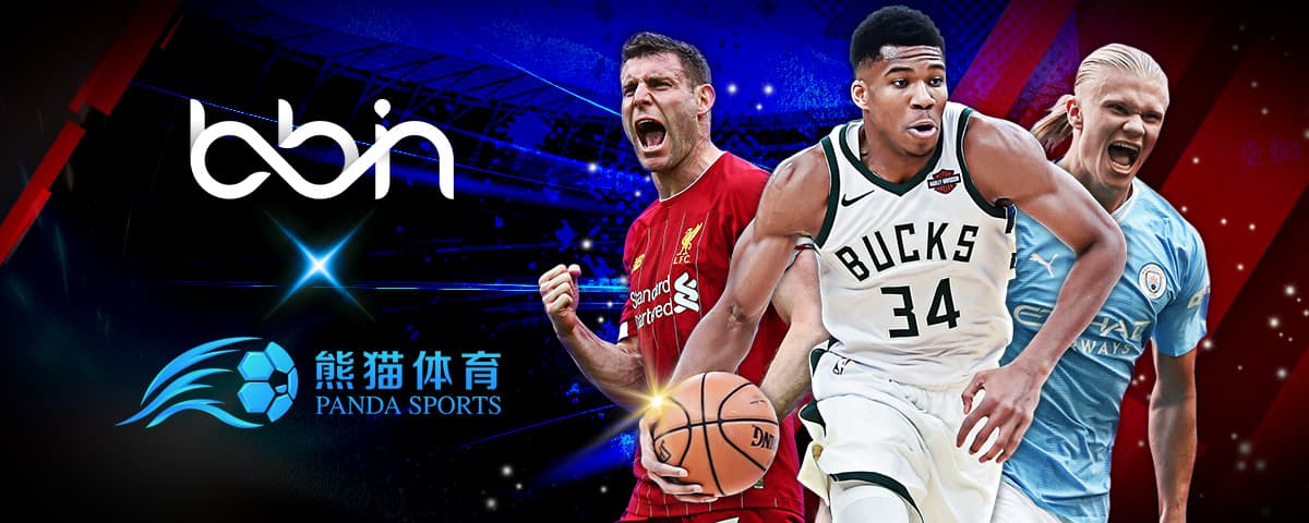 都是教练与